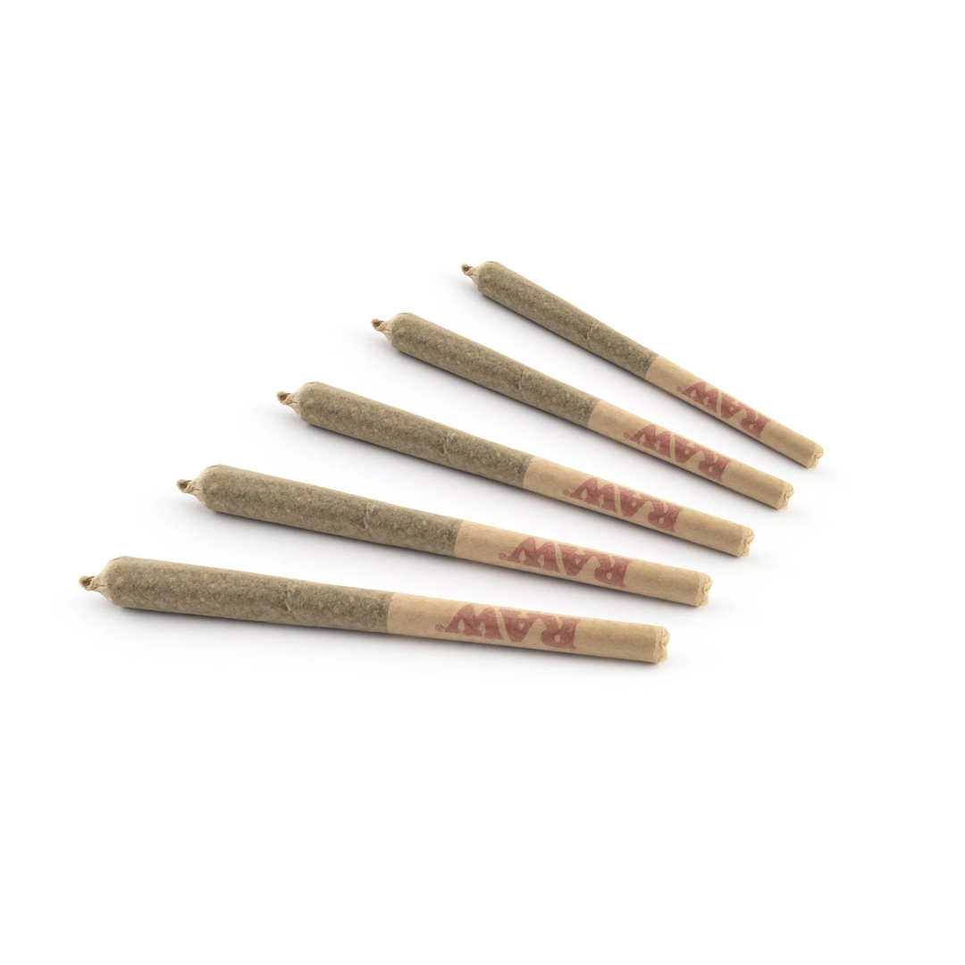 JOINTS | 1 1/4 SIZE - INDICA
