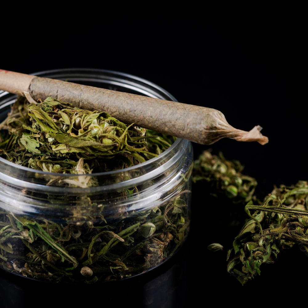 JOINTS | 1 1/4 SIZE - INDICA