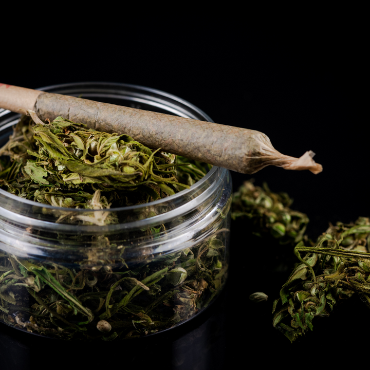 JOINTS | 1 1/4 SIZE - INDICA