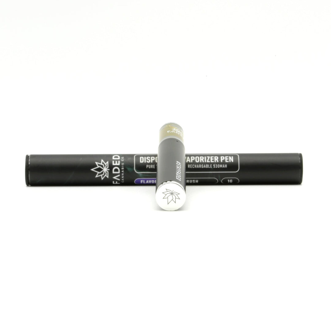 FADED THC DISPOSABLE VAPE PEN | 1G