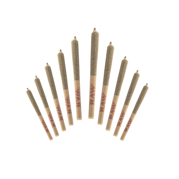JOINTS | 1 1/4 SIZE - SATIVA
