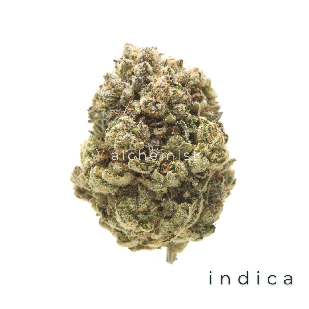 AAAA | GOD'S GIFT - INDICA