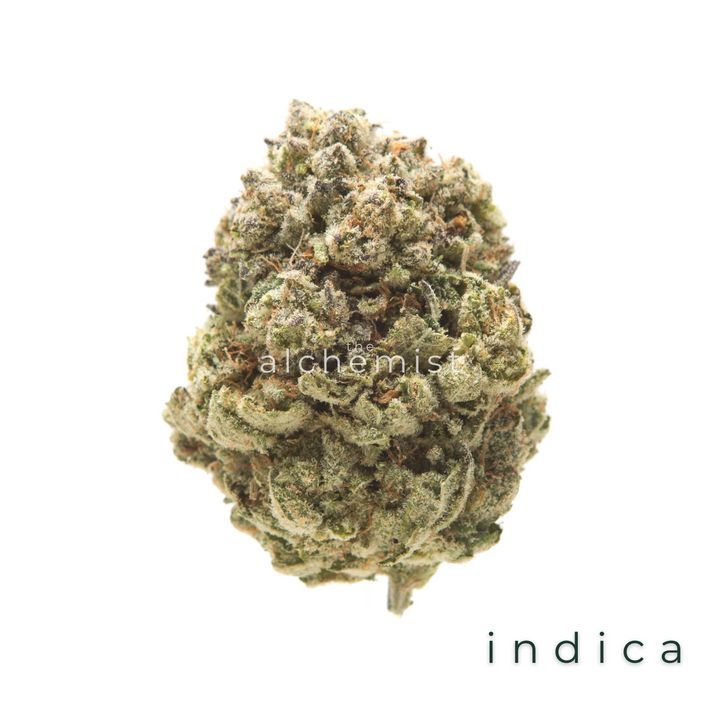 AAAA | GOD'S GIFT - INDICA