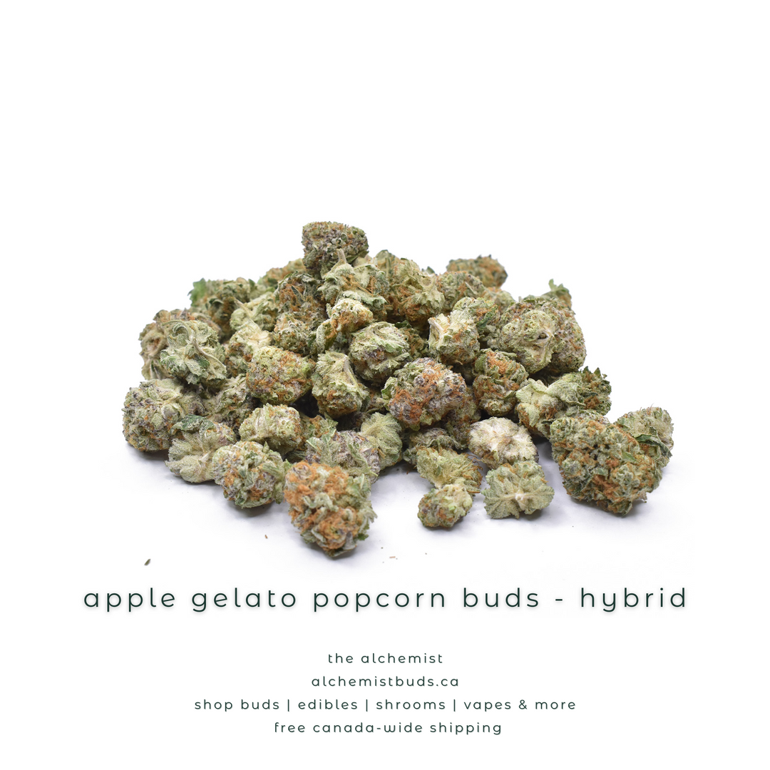 AAAA POPCORN BUDS | APPLE GELATO - HYBRID