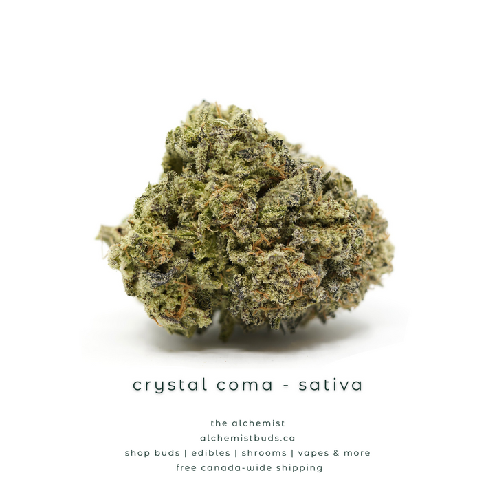 AAAA | CRYSTAL COMA - SATIVA