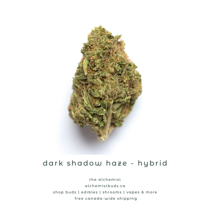 AAAA | DARK SHADOW HAZE - HYBRID