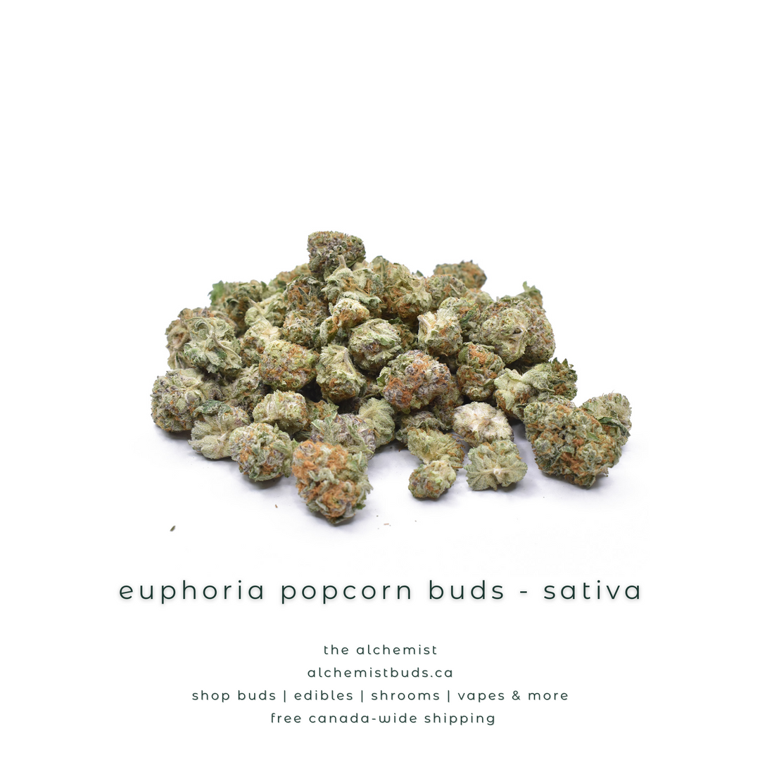 AAAA POPCORN BUDS | EUPHORIA - SATIVA