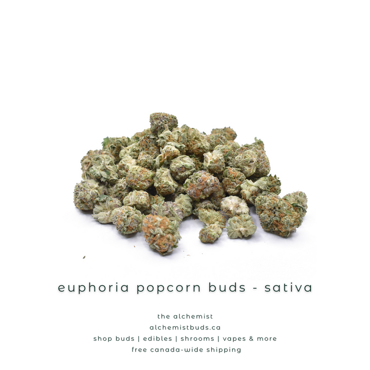 AAAA POPCORN BUDS | EUPHORIA - SATIVA