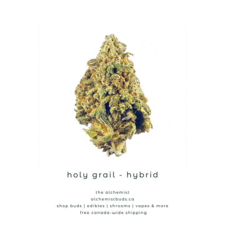 AAAA | HOLY GRAIL - HYBRID