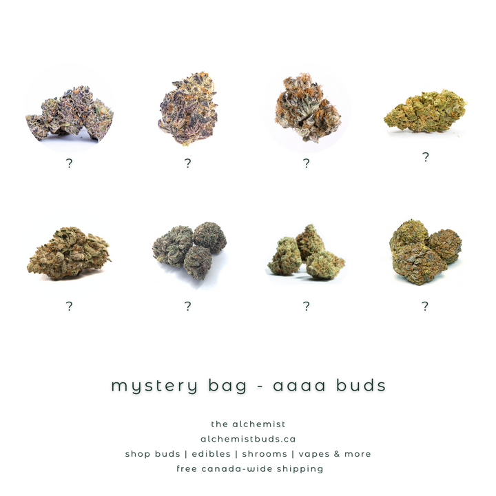 AAAA | MYSTERY BAG