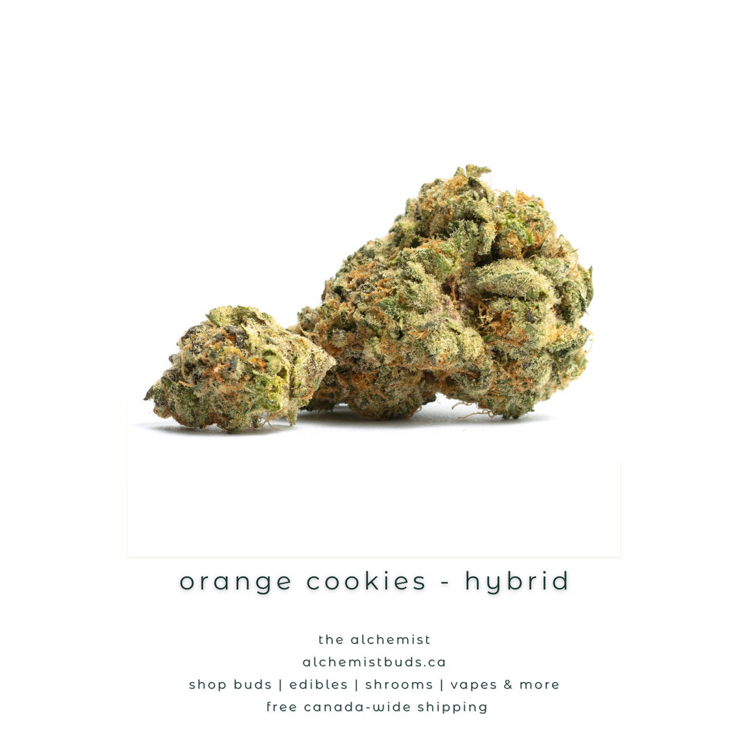 AAAA | ORANGE COOKIES - HYBRID