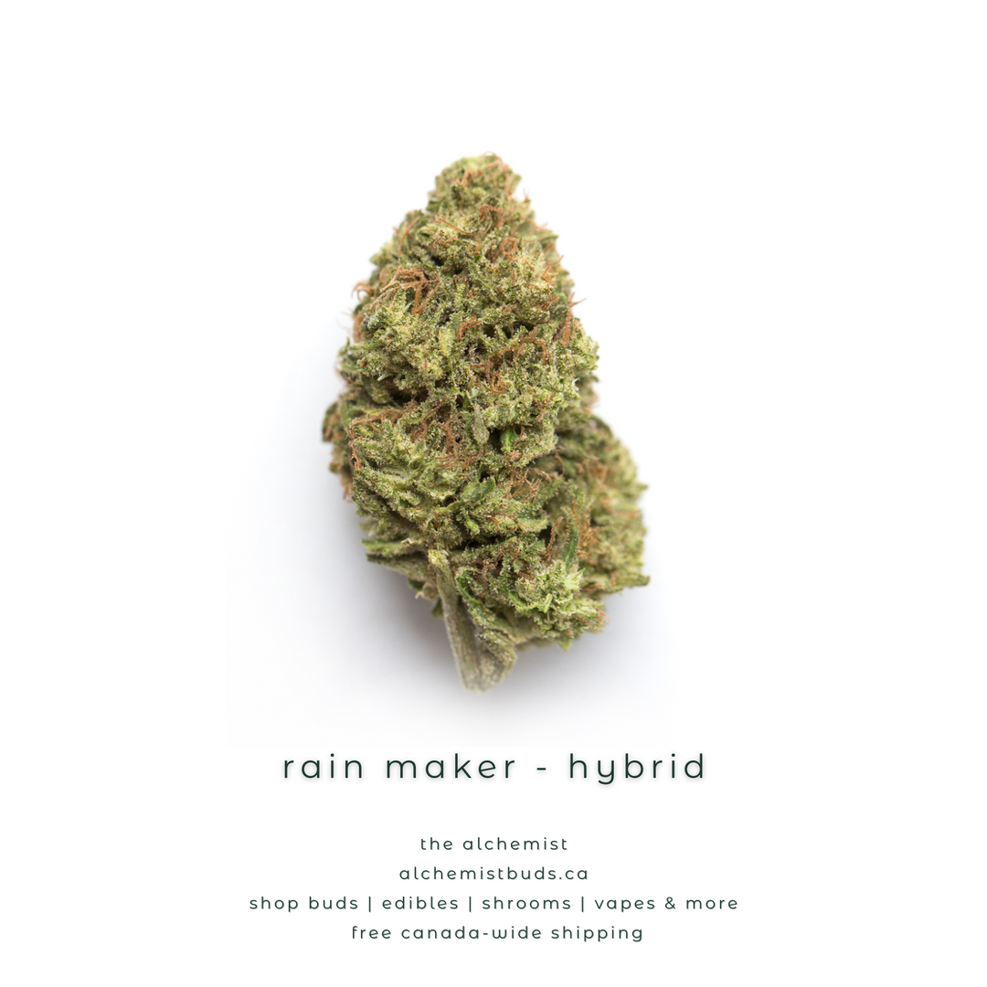 AAAA | RAIN MAKER - HYBRID