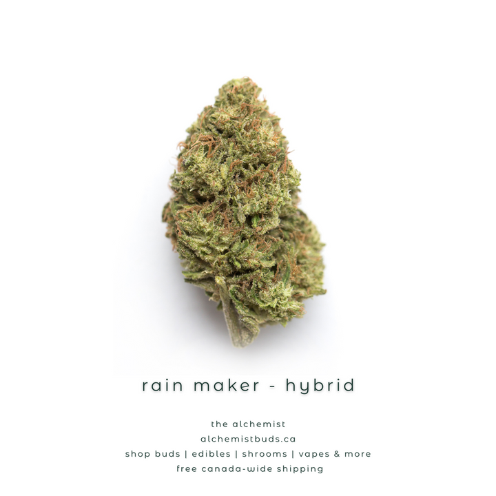 AAAA | RAIN MAKER - HYBRID