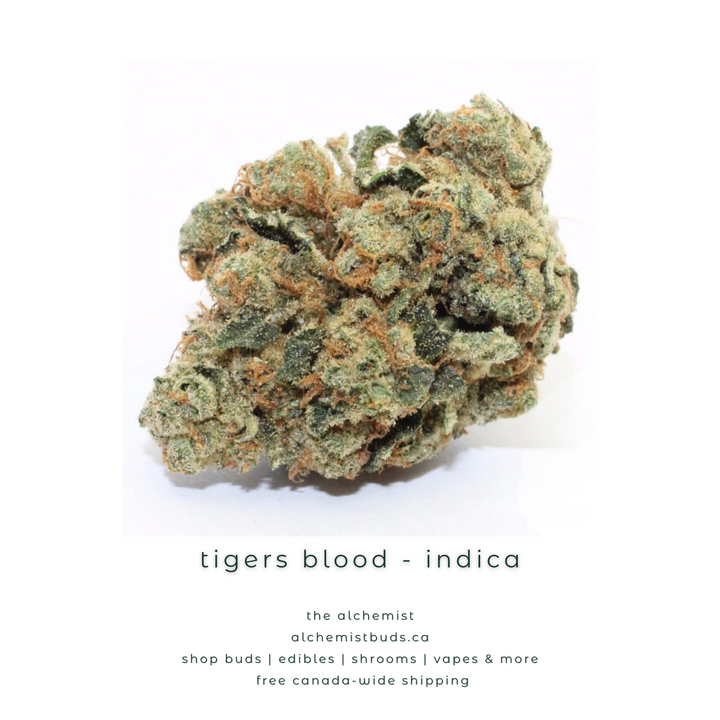 AAAA | TIGERS BLOOD - INDICA