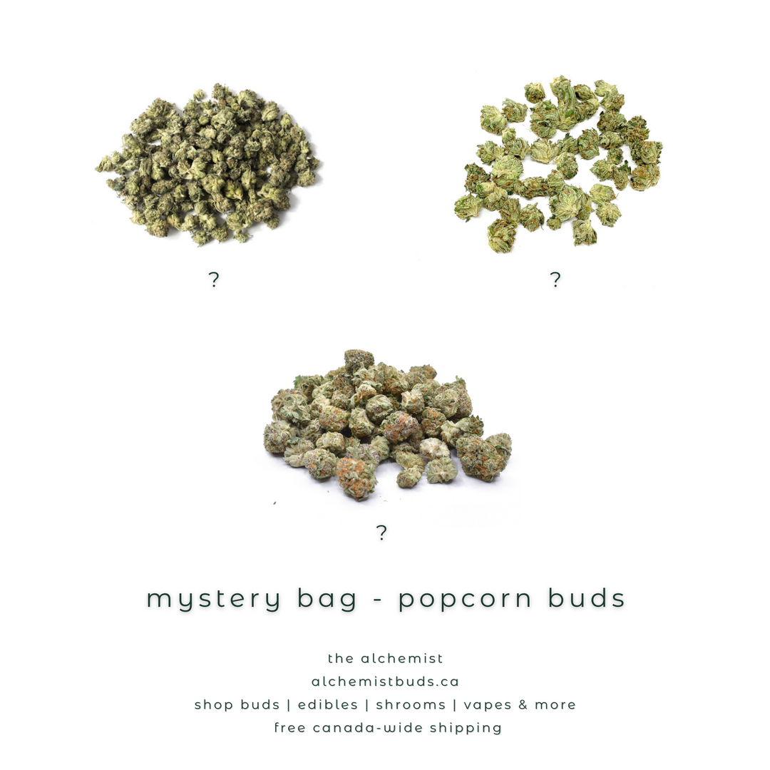 AAAA POPCORN BUDS | MYSTERY BAG